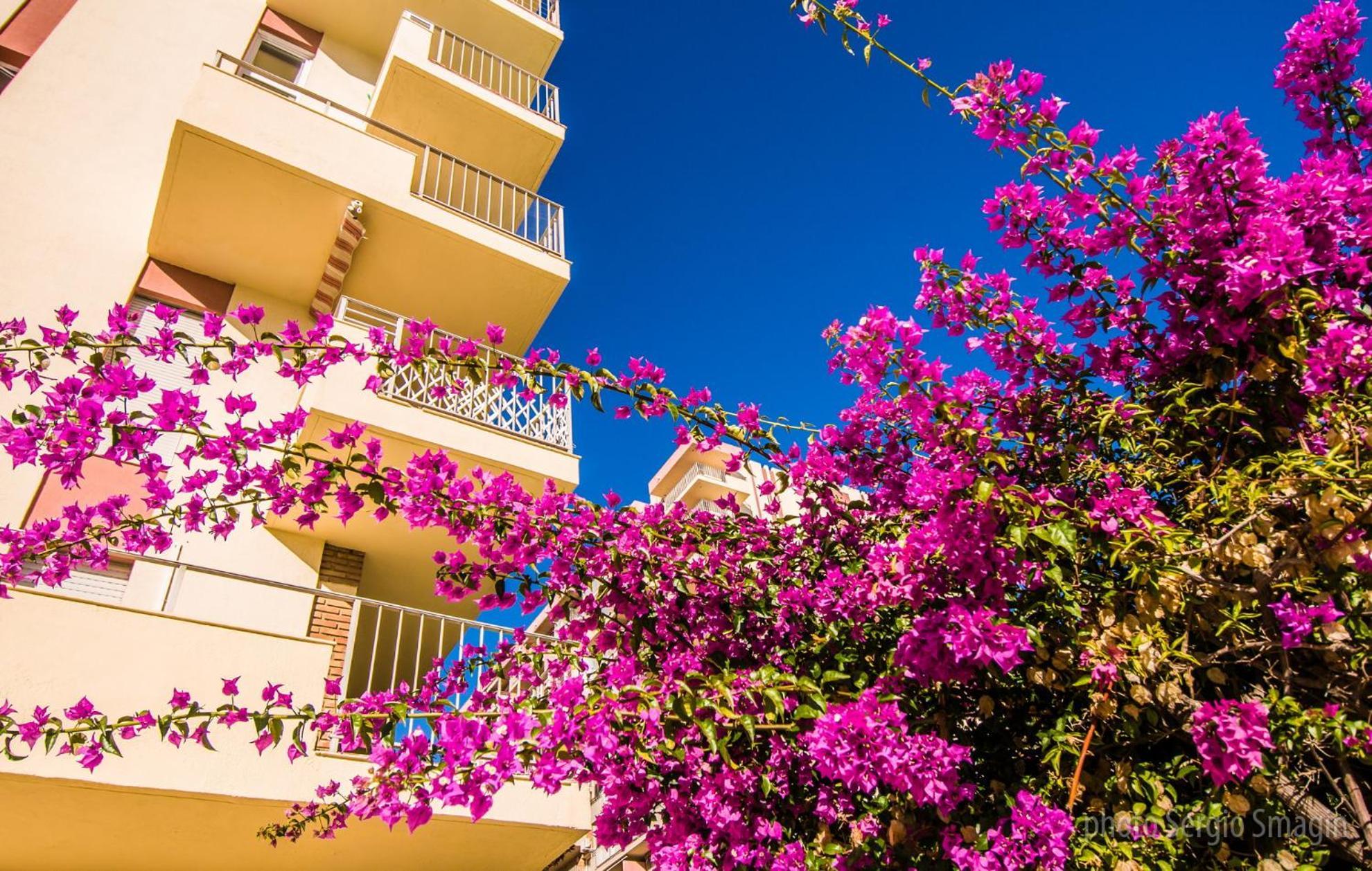 426 Estudio En Minerva Apartamentos - Vista Al Jardin - Piscina Y Playa Бенальмадена Екстер'єр фото