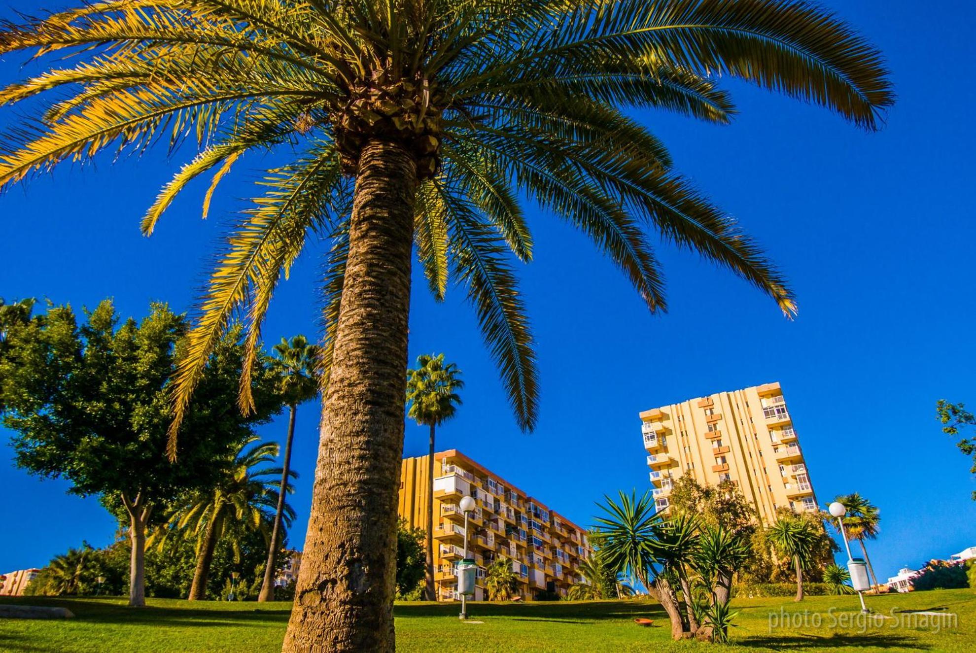 426 Estudio En Minerva Apartamentos - Vista Al Jardin - Piscina Y Playa Бенальмадена Екстер'єр фото